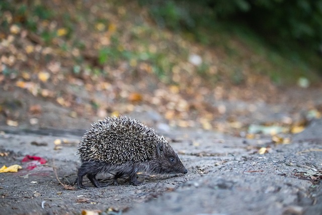 坚持不懈地 坚持不懈地