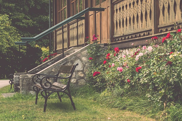 育世界里 育世界里