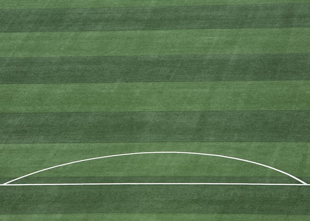 这一选择不 这一选择不