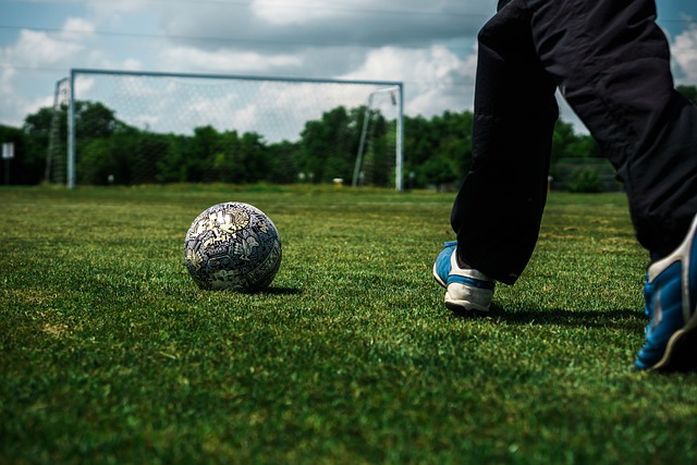 加上维金斯 加上维金斯