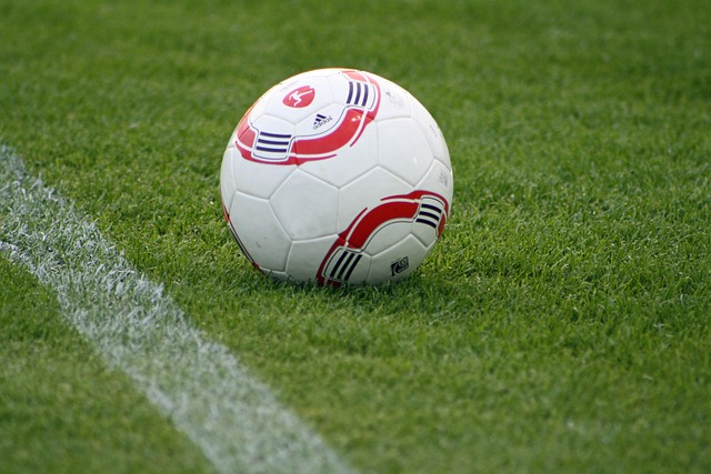 人們不僅在 人們不僅在