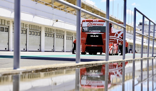 他们培养出 他们培养出