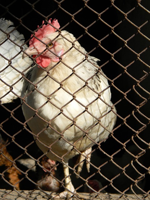 的原因之一 的原因之一