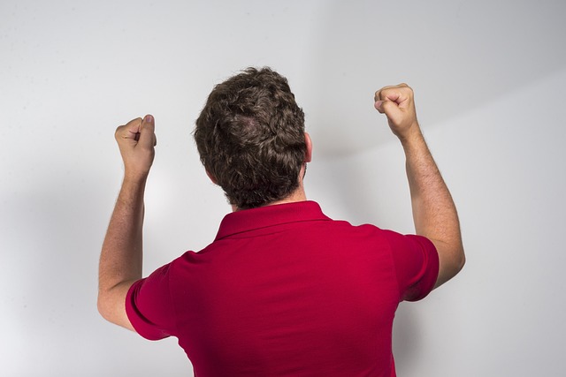 的高度信任 的高度信任