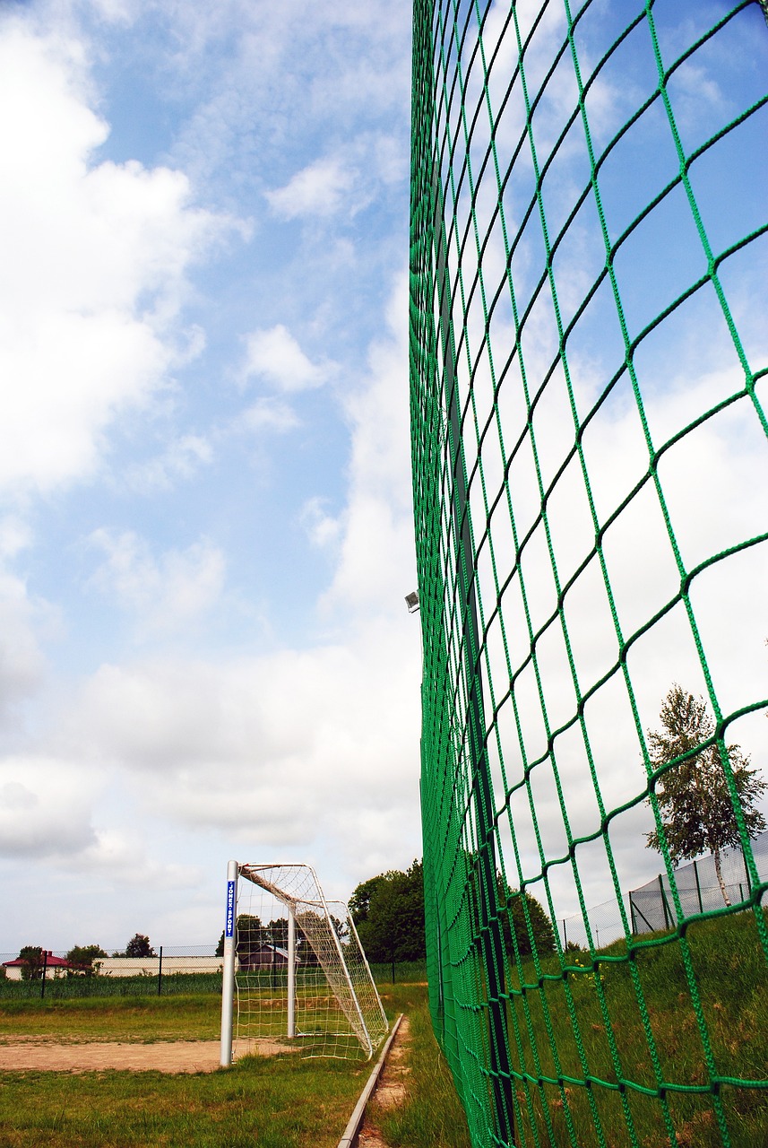 在巴西这个 在巴西这个